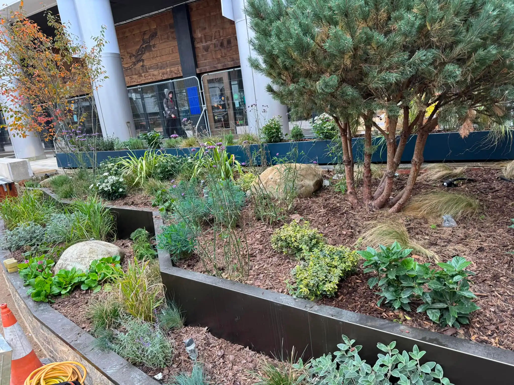 Landscaping — image 1