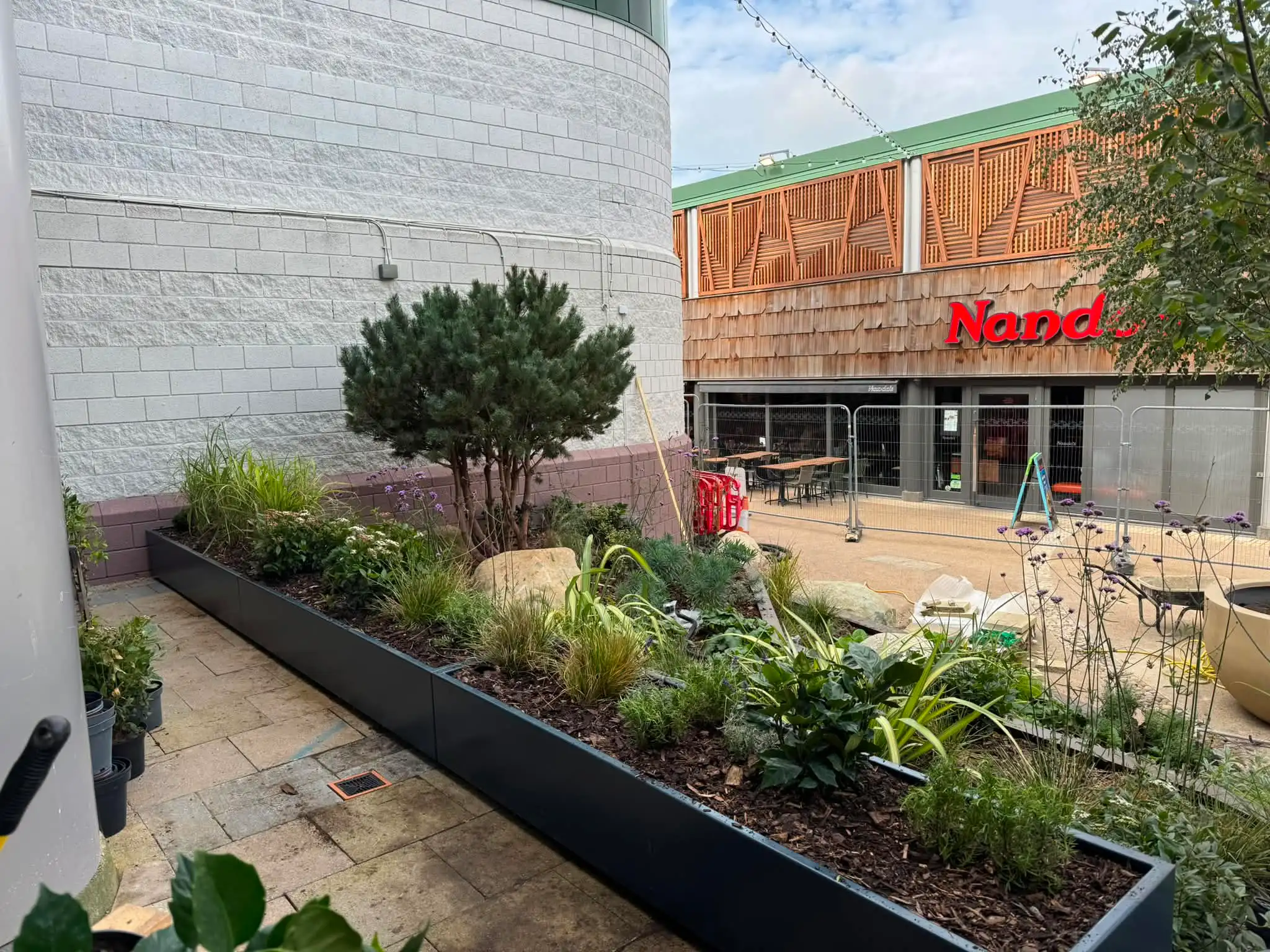 Landscaping — image 2